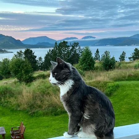 Wake Up To A Beautiful View And Smell Of The Sea Apartment Kristiansund Exterior foto