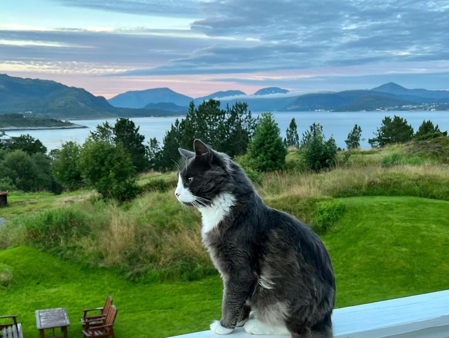 Wake Up To A Beautiful View And Smell Of The Sea Apartment Kristiansund Exterior foto