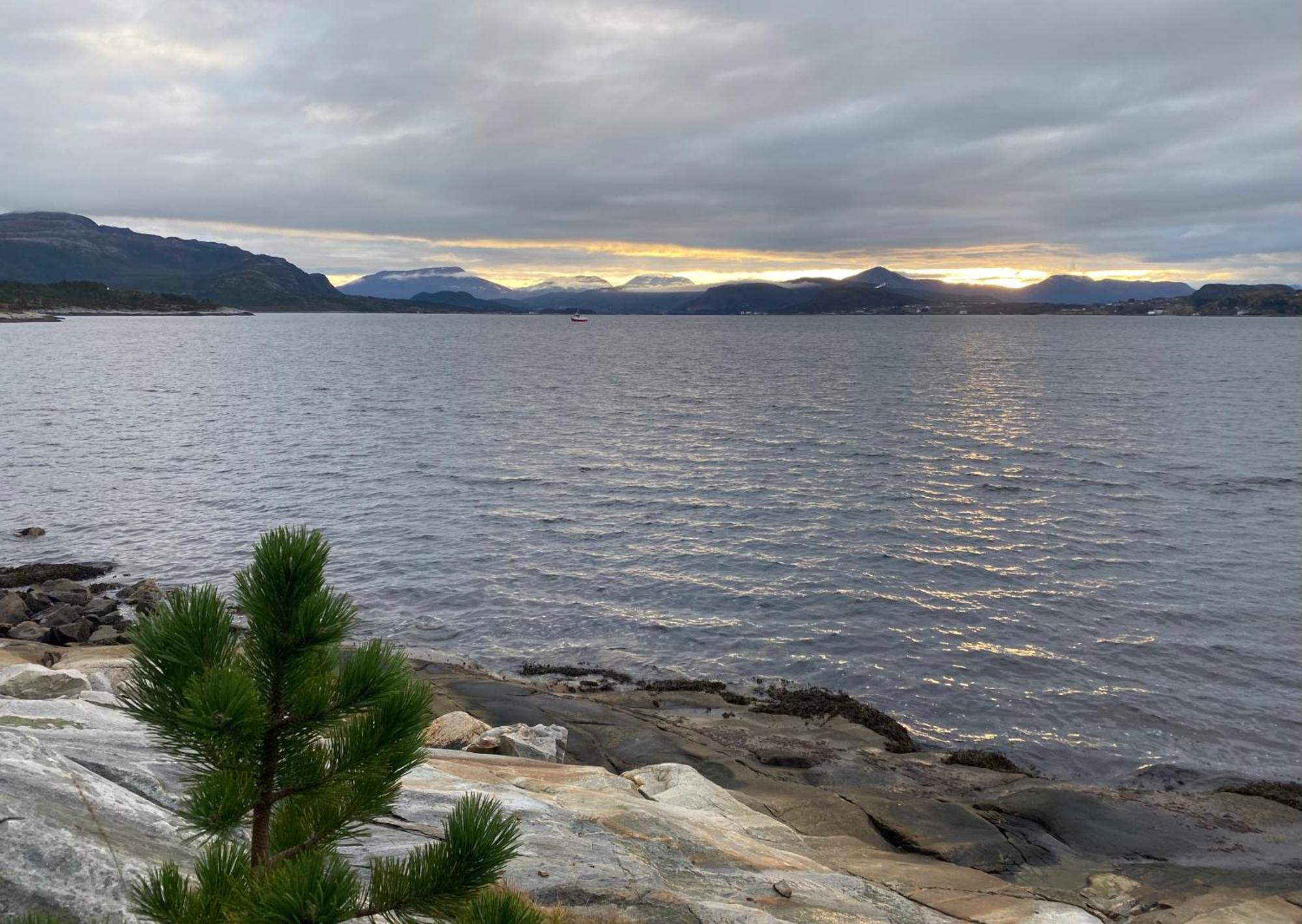 Wake Up To A Beautiful View And Smell Of The Sea Apartment Kristiansund Exterior foto